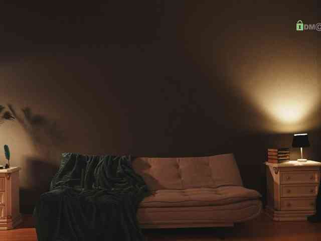 _ILSO_ webcam