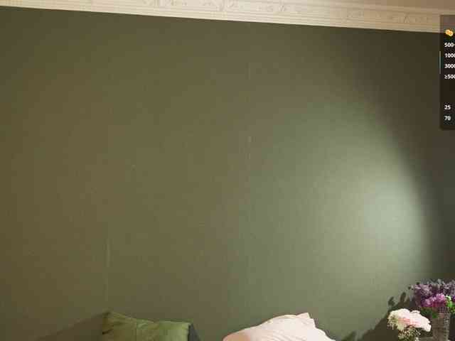 _ILSO_ webcam