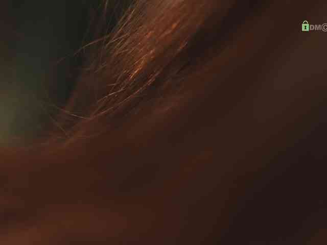 _ILSO_ webcam