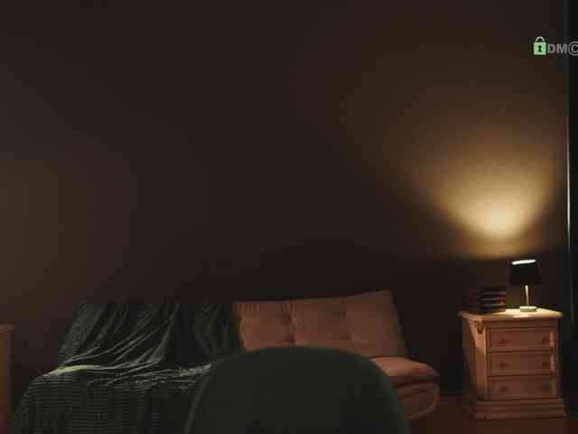 _ILSO_ webcam