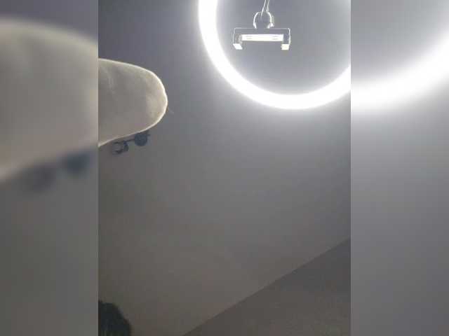 Arina979797 live cam