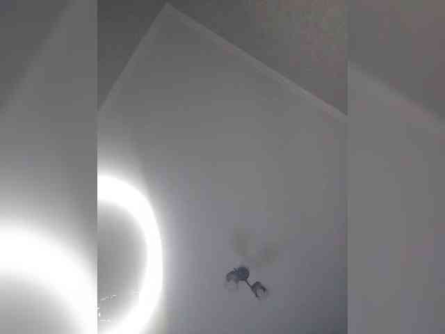 Goldlove1 webcam