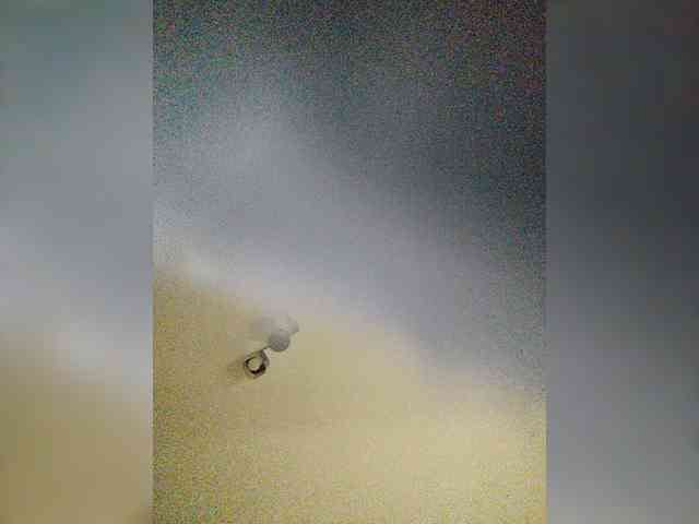 Goldlove1 webcam