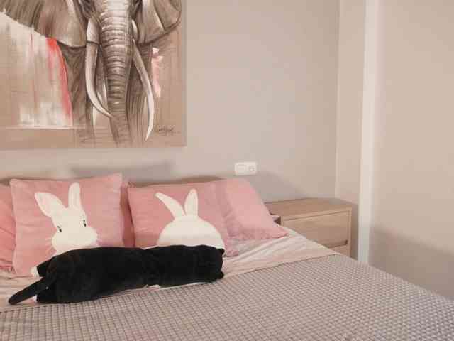 Raychell_Black webcam