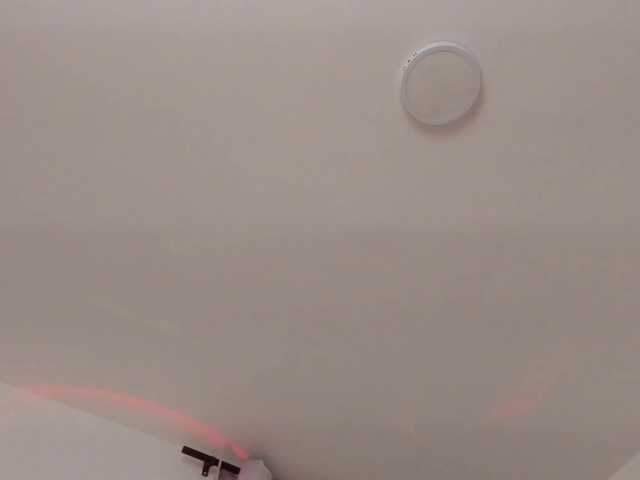 AlanaRouse1's BongaCams show and profile