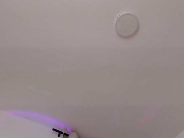 Preview of alanarouse1