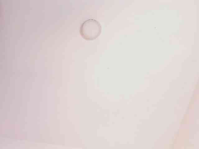 AlanaRouse1