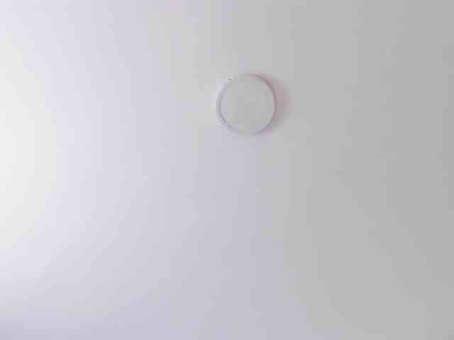 AlanaRouse1 webcam