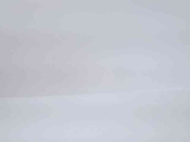 AlanaRouse1 webcam
