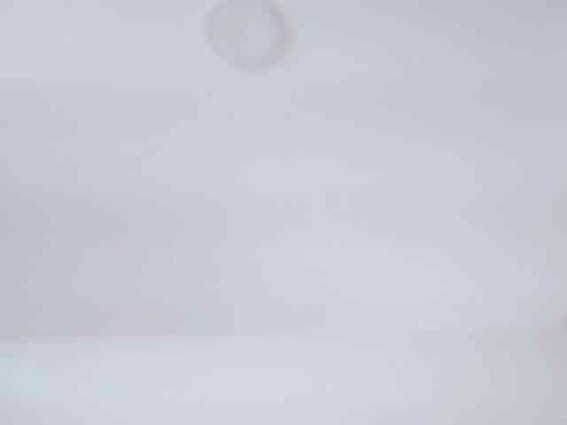 AlanaRouse1