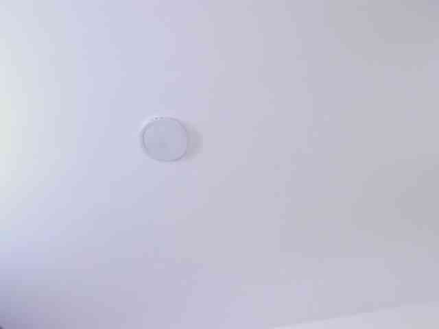 AlanaRouse1