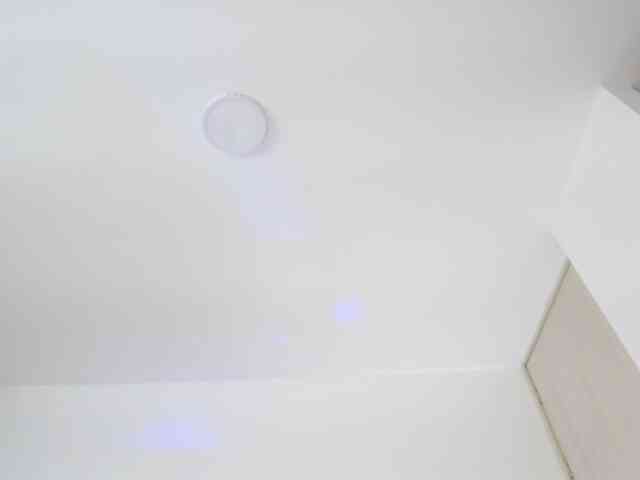 AlanaRouse1