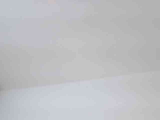AlanaRouse1
