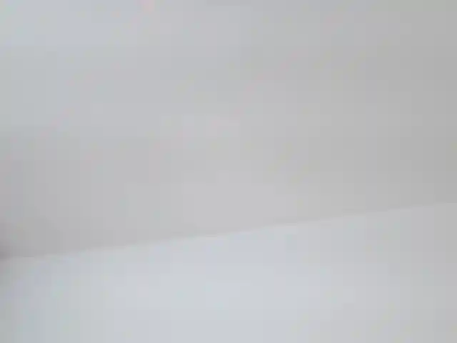 AlanaRouse1