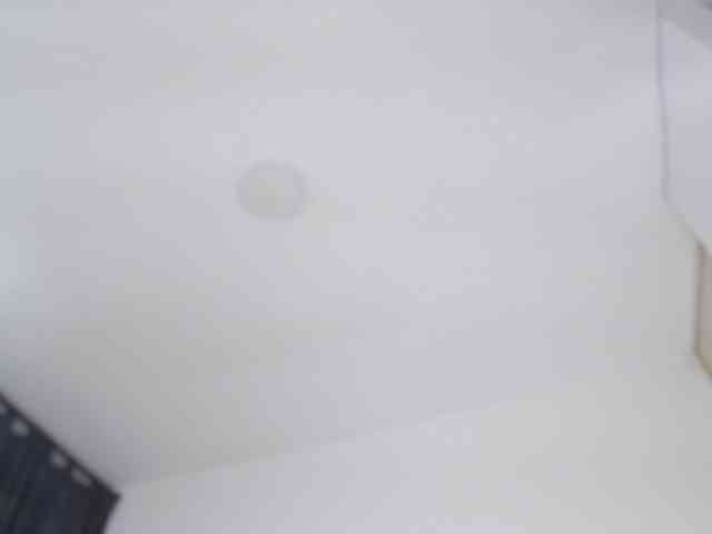 AlanaRouse1