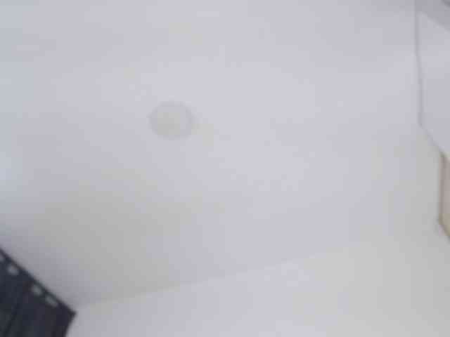 AlanaRouse1 webcam