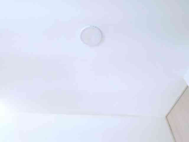 AlanaRouse1 webcam