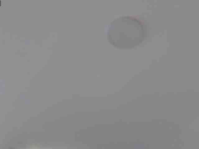 AlanaRouse1 webcam