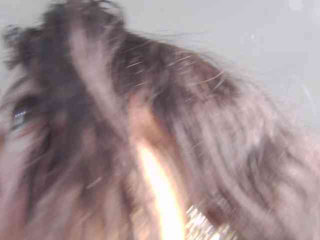 AlanaRouse1 webcam