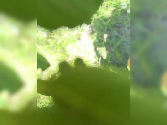 aniram2221 cam belle