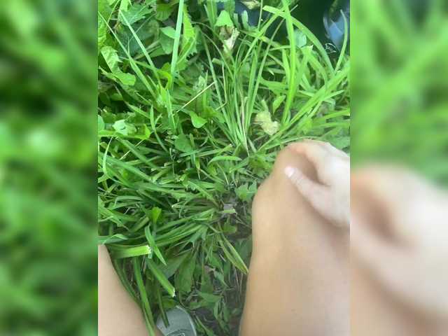 aniram2221 live webcam show