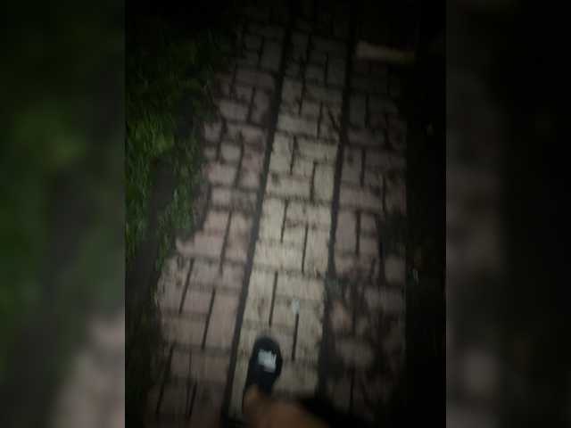 aniram2221