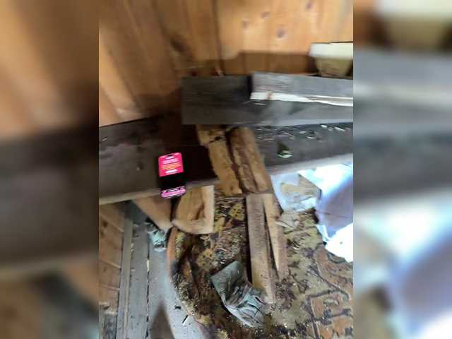 aniram2221 live webcam show