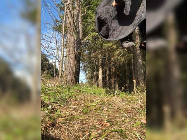 aniram2221's BongaCams show and profile