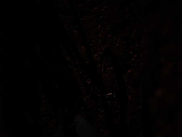 aniram2221 live cam on BongaCams