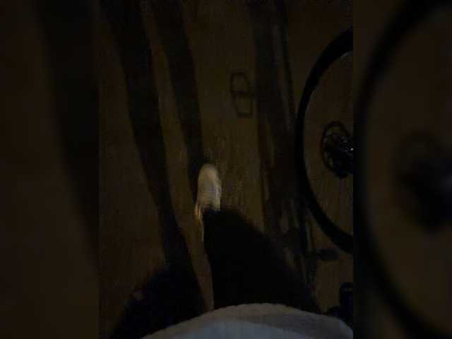 aniram2221