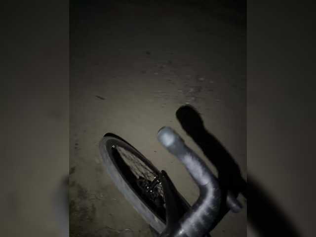 aniram2221