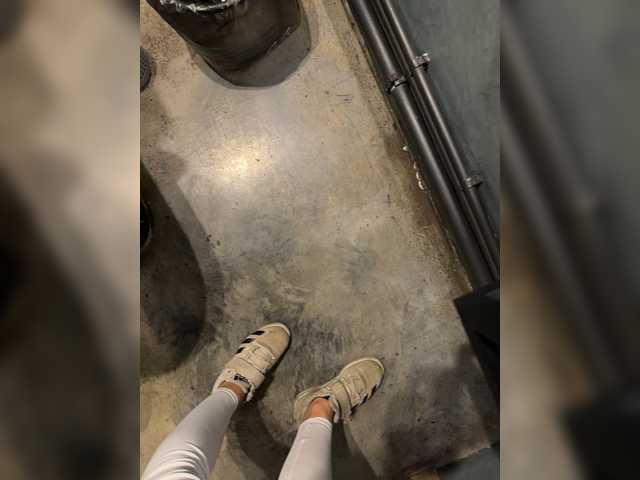 aniram2221