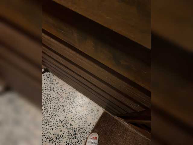 aniram2221