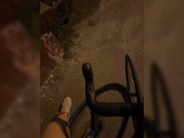 aniram2221 online