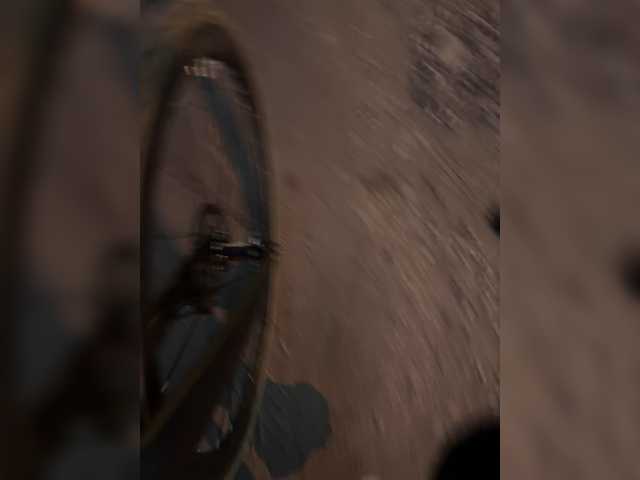 aniram2221