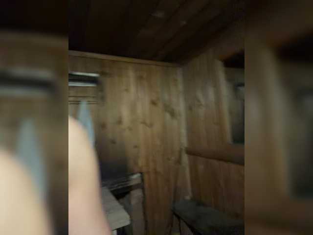 модель aniram2221