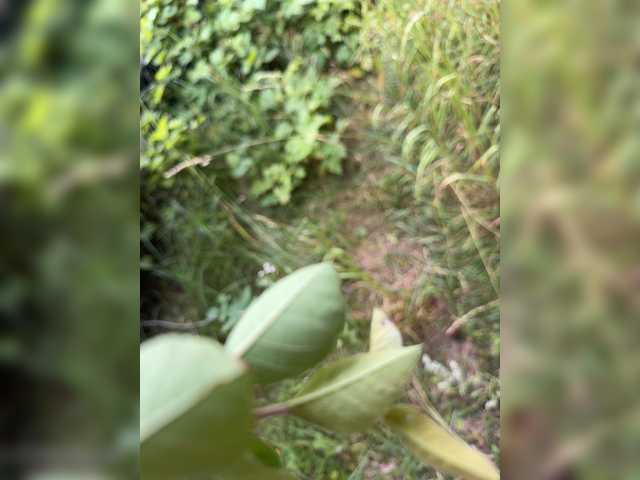 Live трансляция Ekaterina2221 - Runet.cam