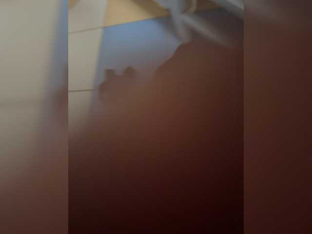 aniram2221