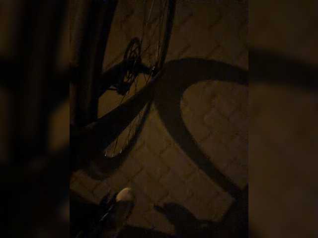 aniram2221
