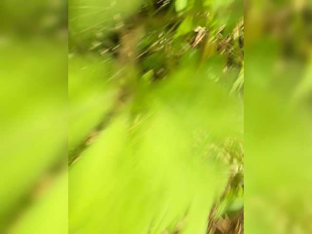 aniram2221