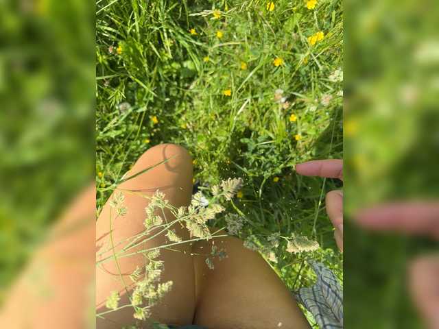 aniram2221 online