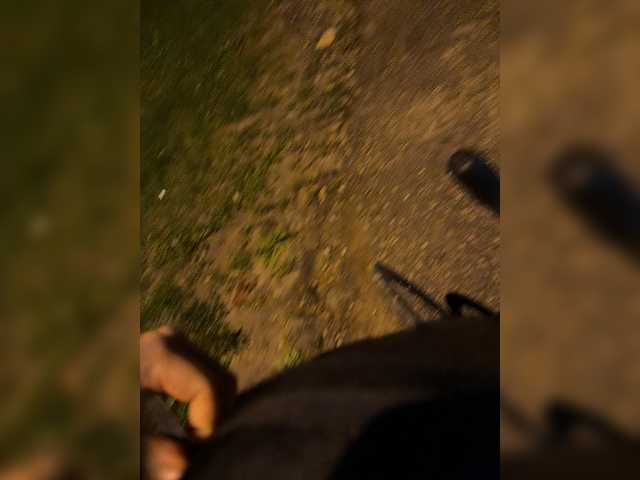 aniram2221