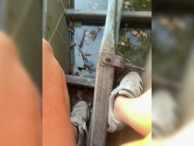 aniram2221 live cam