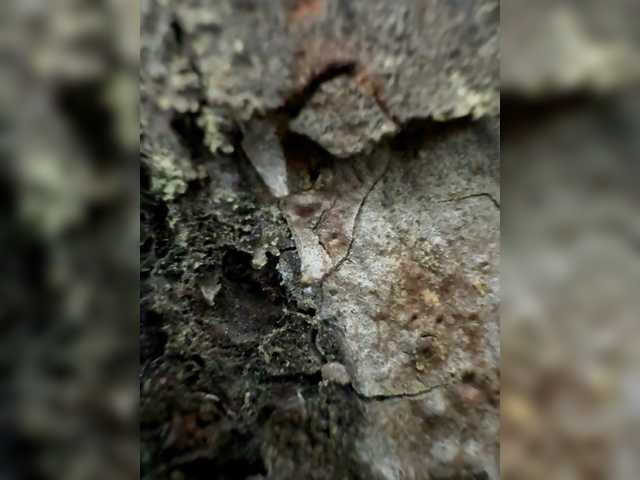  aniram2221 chat room