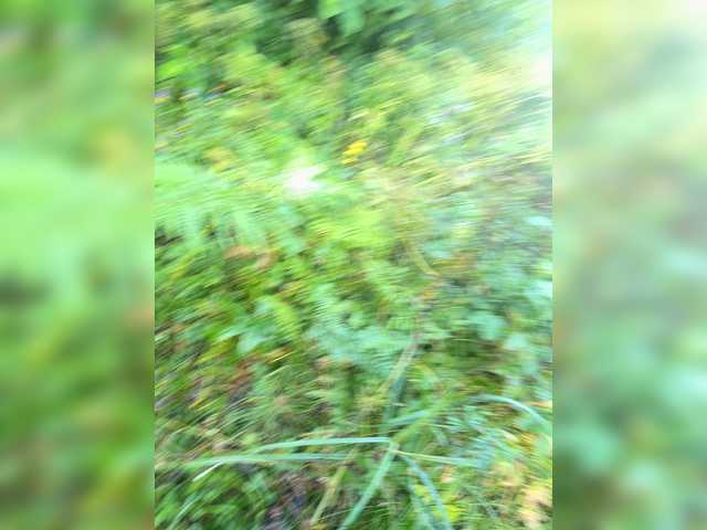 aniram2221