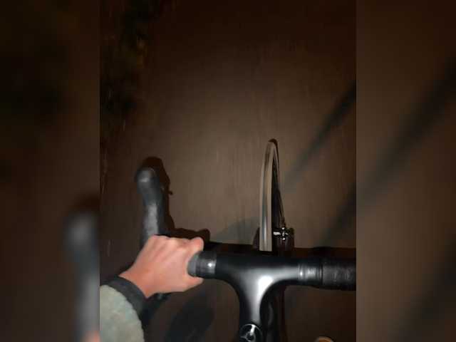 aniram2221