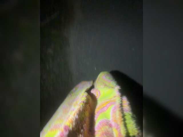 aniram2221's BongaCams show and profile