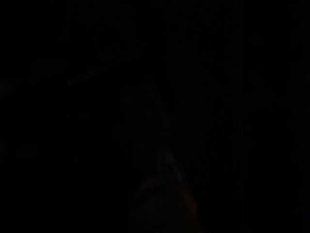 aniram2221 live cam on BongaCams