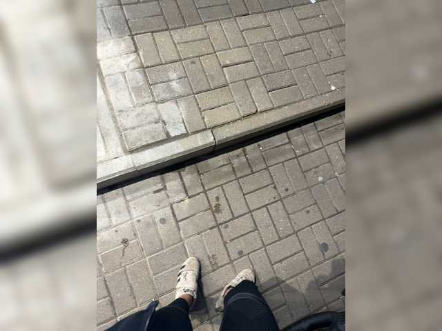 aniram2221