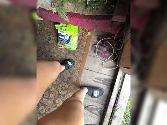 aniram2221